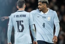 فيدي فالفيردي