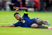 فينيسيوس مع البرازيل