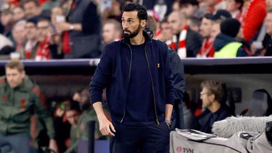 أربيلوا كامافينجا