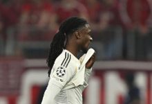 أربيلوا وكامافينجا