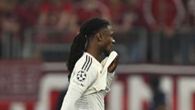 أربيلوا وكامافينجا