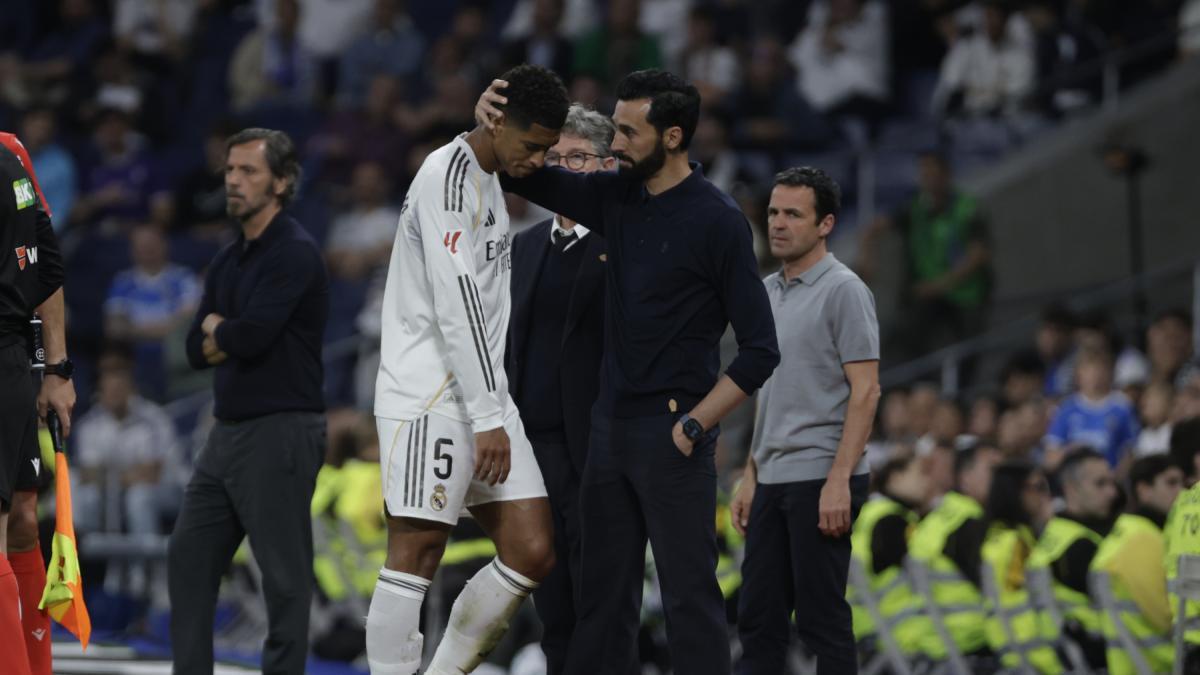 بيلينجهام ألافيس