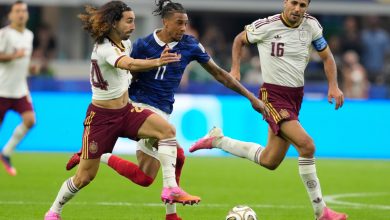 ريال مدريد رودري إنزو فرنانديز